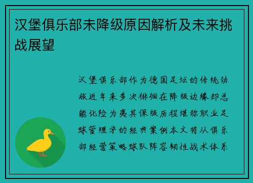 汉堡俱乐部未降级原因解析及未来挑战展望