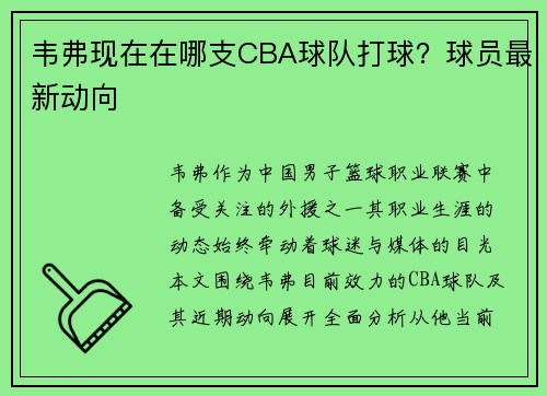 韦弗现在在哪支CBA球队打球？球员最新动向